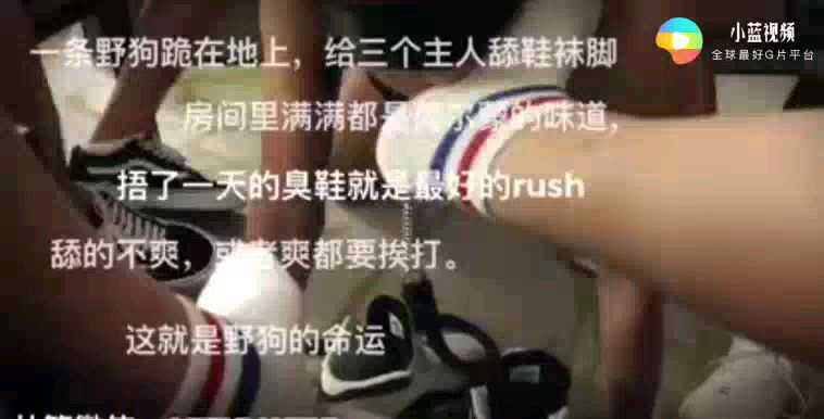 被三个主人调教的野狗